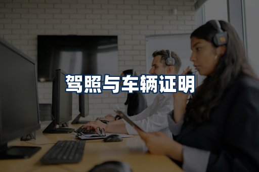 车辆证明展示